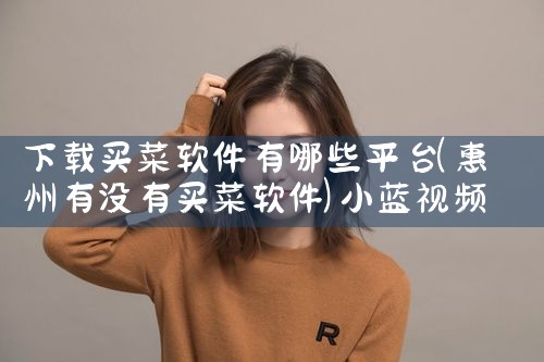 下载买菜软件有哪些平台|小蓝视频