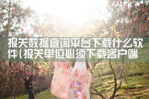 报关数据查询平台下载什么软件|杏吧