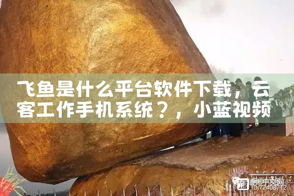 飞鱼是什么平台软件下载|小蓝视频
