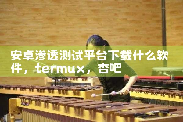安卓渗透测试平台下载什么软件|杏吧