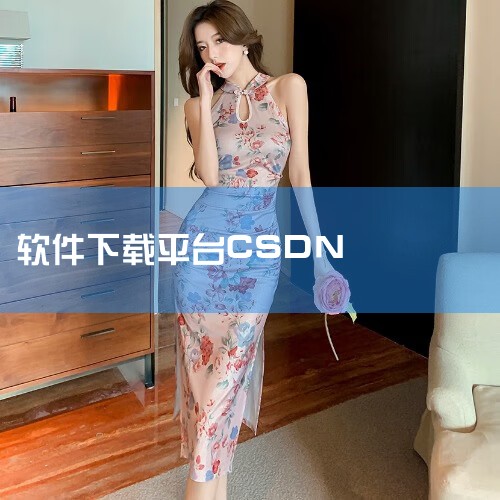 程序员专用网站 程序员下载软件的网站,csdn是什么网站,csdn是什么软件,csdn是什么网站,哔咔漫画
