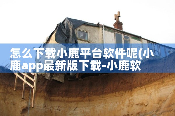 怎么下载小鹿平台软件呢|小蓝视频
