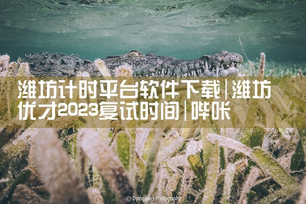 潍坊计时平台软件下载|哔咔漫画