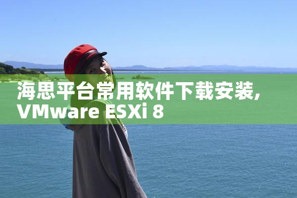 海思平台常用软件下载安装|杏吧