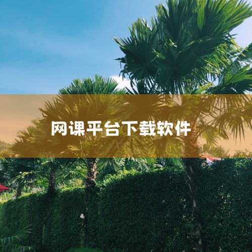好用下载软件推荐,网课如何下载到本地,国家免费网课平台软件,国家中小学免费网课平台下载,小蓝视频