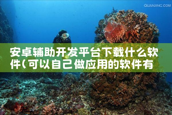 安卓辅助开发平台下载什么软件|杏吧